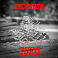 DEC 2020