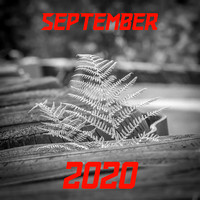 SEP 2020