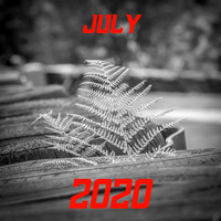 JUL 2020