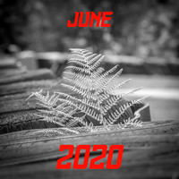 JUN 2020